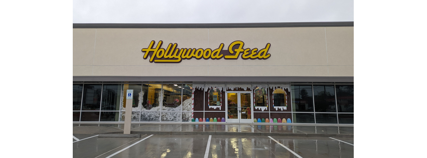 Hollywood Feed
