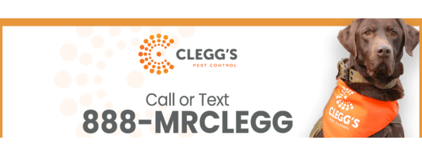 Clegg’s Termite & Pest Control - Pinehurst