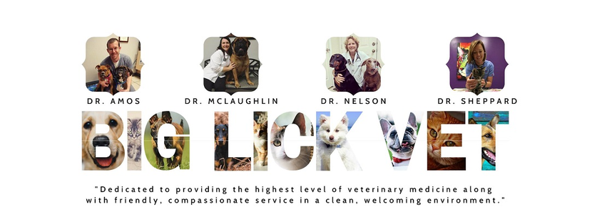 Big Lick Veterinary Services