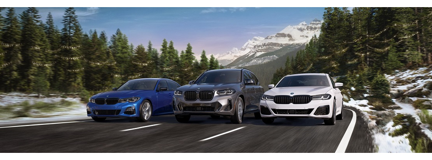 Ferman BMW