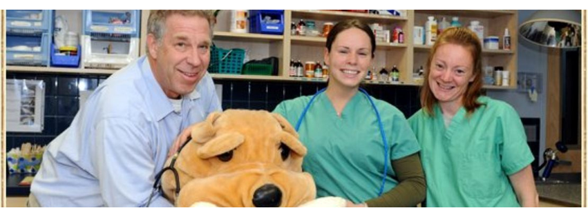 Island Trees Veterinary Hospital