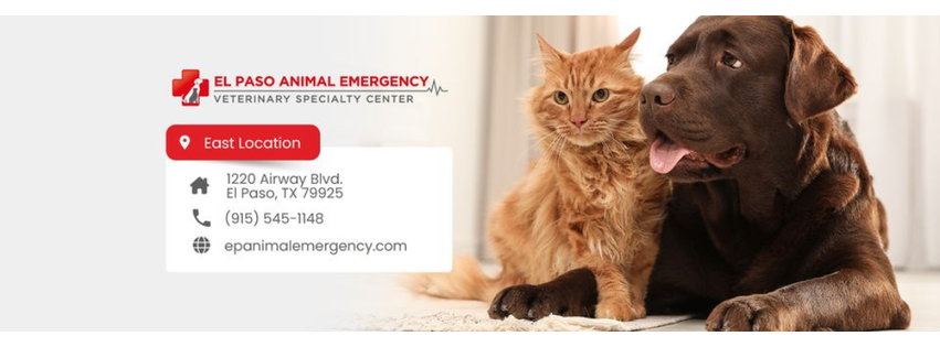 El Paso Animal Emergency Center