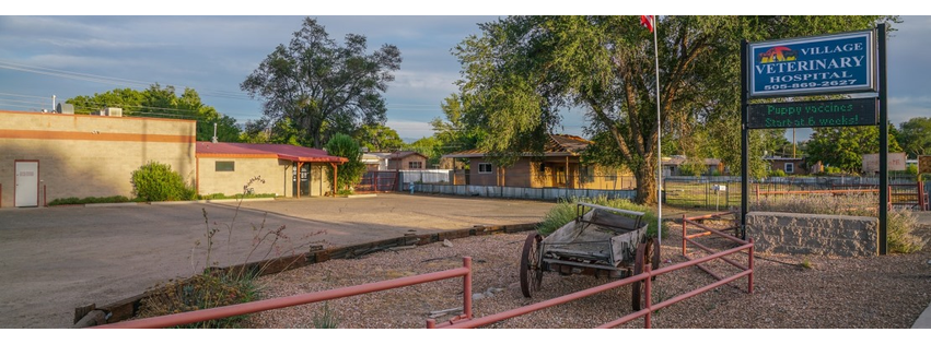 Village Veterinary Hospital
