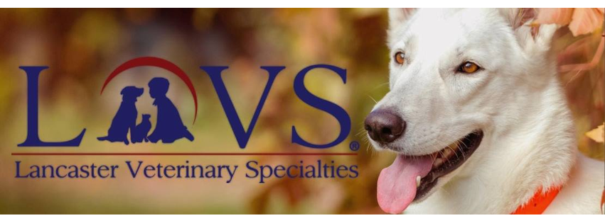 Lancaster Veterinary Specialties