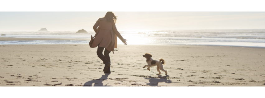 Memorial Veterinary Hospital - Throop