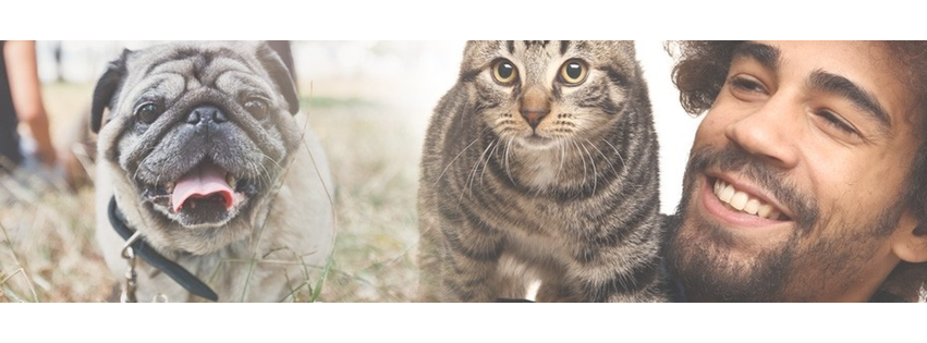 New Braunfels Veterinary Clinic