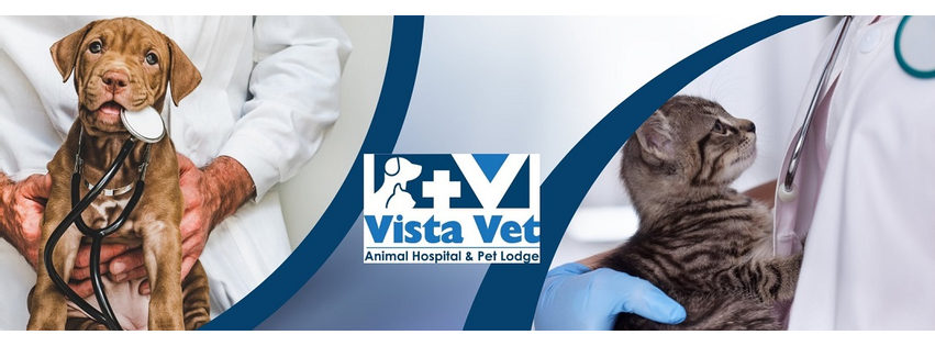 Vista Vet - Animal Hospital & Pet Lodge