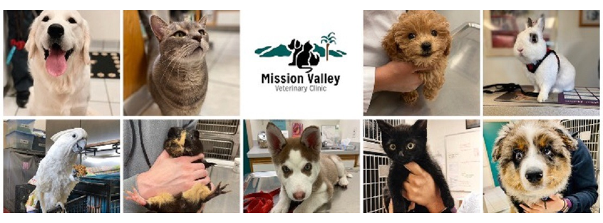 Mission Valley Veterinary Clinic