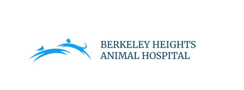 Berkeley Heights Animal Hospital