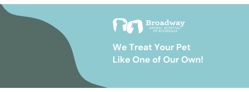 Broadway Animal Hospital of Riverdale