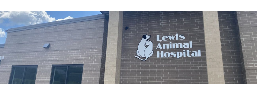 Lewis Animal Hospital - Ridge