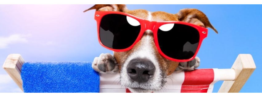 Balboa Veterinary Medical Center