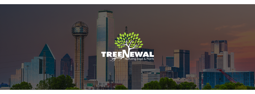 TreeNewal, Certified Arborist
