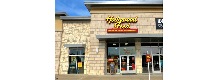 Hollywood Feed