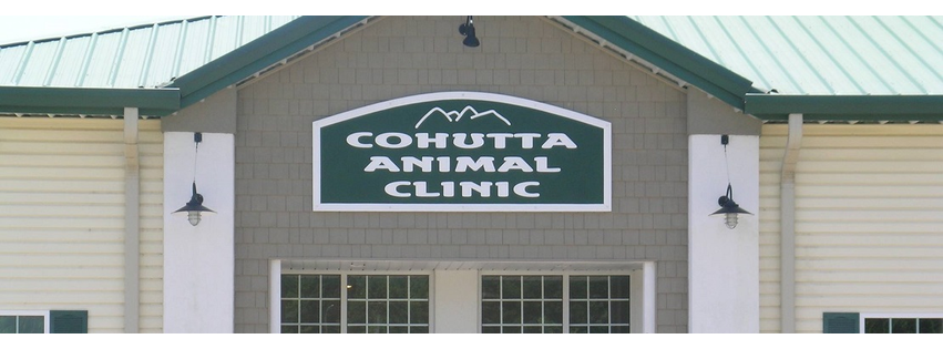 Cohutta Animal Clinic