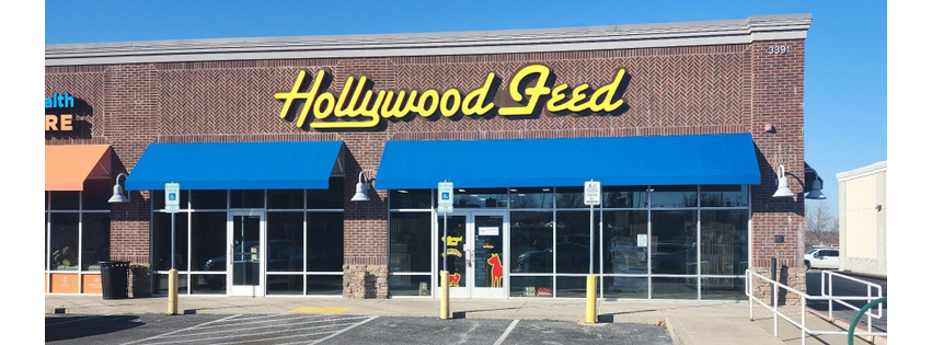Hollywood Feed