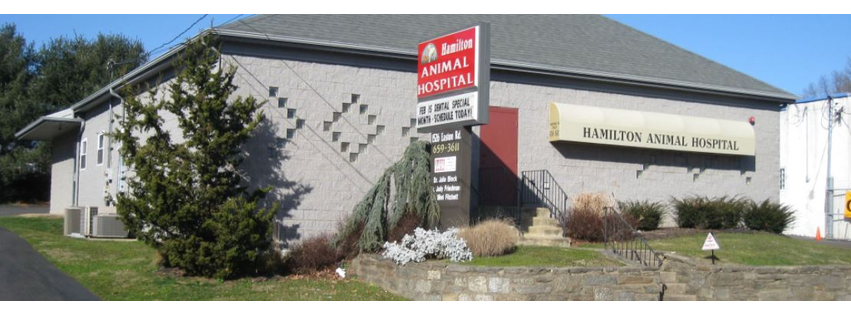 Hamilton Animal Hospital