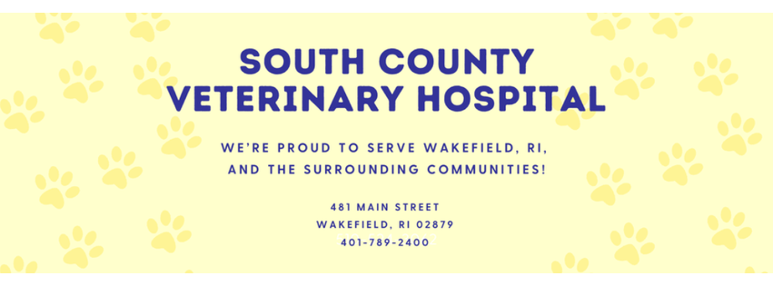 South County Veterinary Hospital