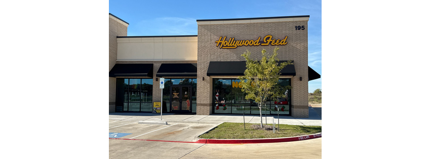 Hollywood Feed