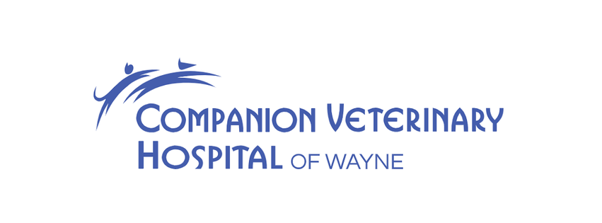 Companion Veterinary Hospital of Wayne