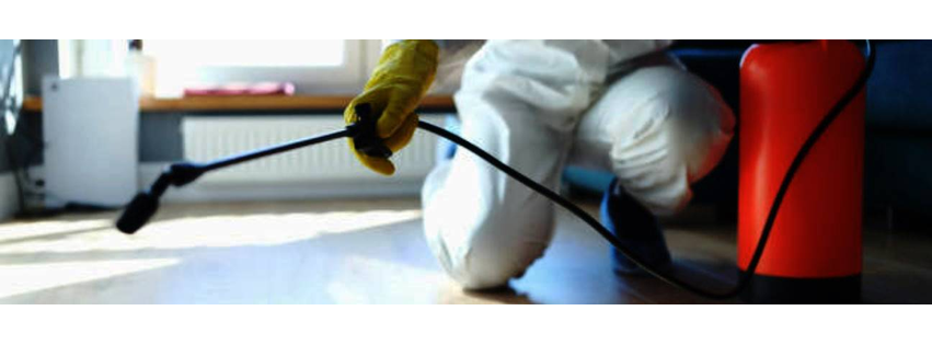 Alpha Omega Pest Management