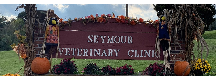 Seymour Veterinary Clinic