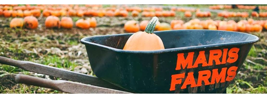 Maris Farms