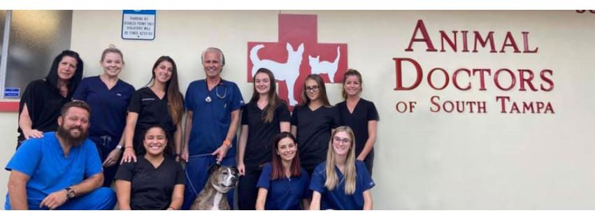 Animal Doctors of South Tampa