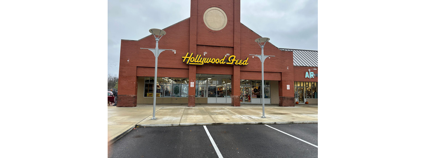 Hollywood Feed