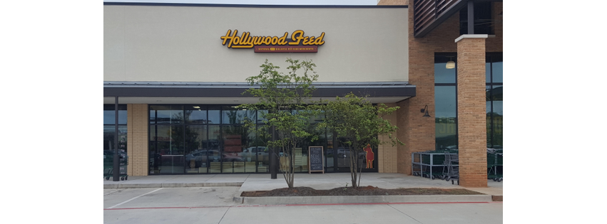 Hollywood Feed
