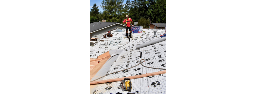 Four Seasons Roofing
