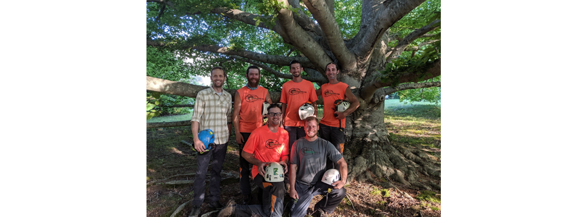 Heartwood Tree Care