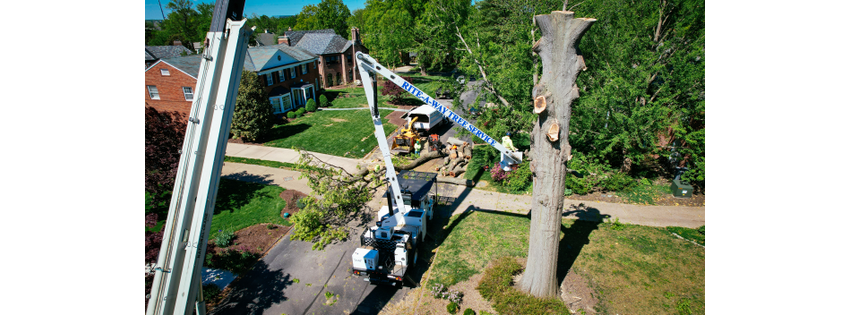 Rite-A-Way Tree Service