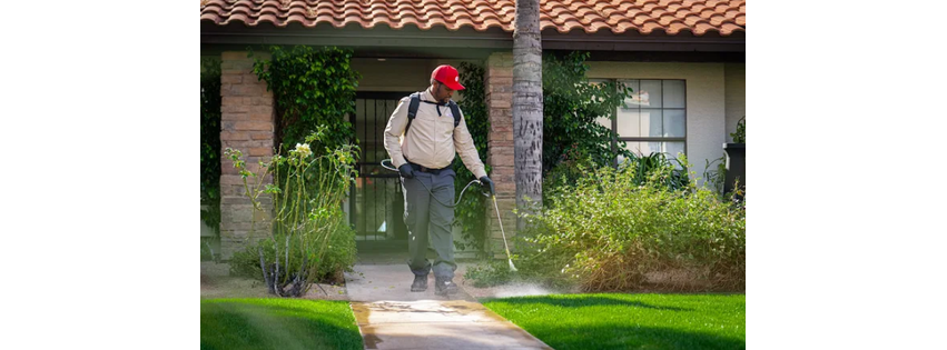 Phoenix Pest & Termite Control