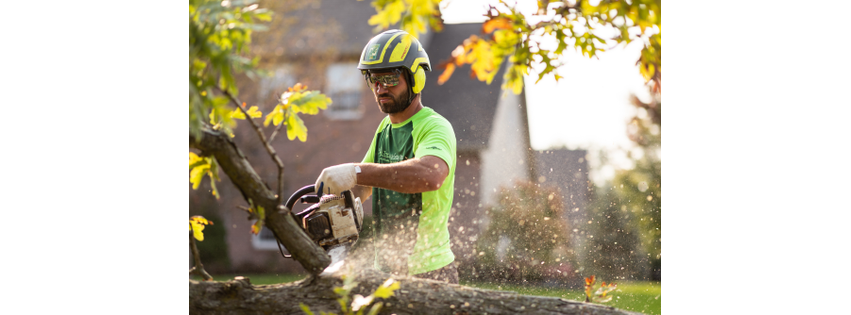 King Tree Specialists Inc