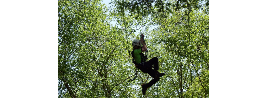 Heartwood Tree Care