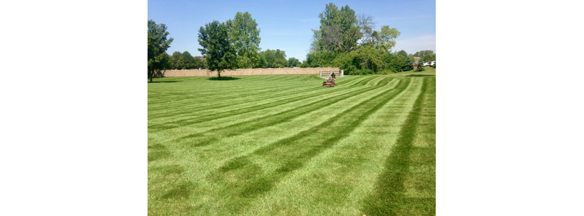 Lawn Innovations