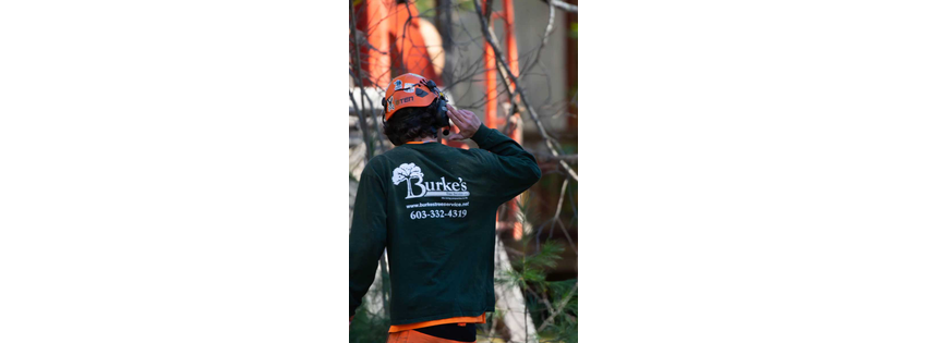 Burke's Tree Service