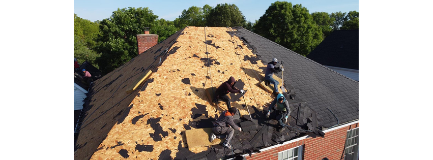 The Roof Detective
