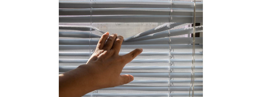 Ultrasonic Blind Services