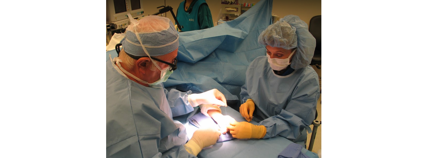 Bloomfield Hand Specialists