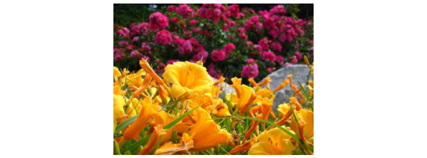 Sherwood Forest Garden Center