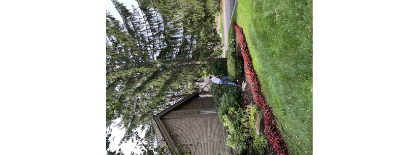 American Pest Control