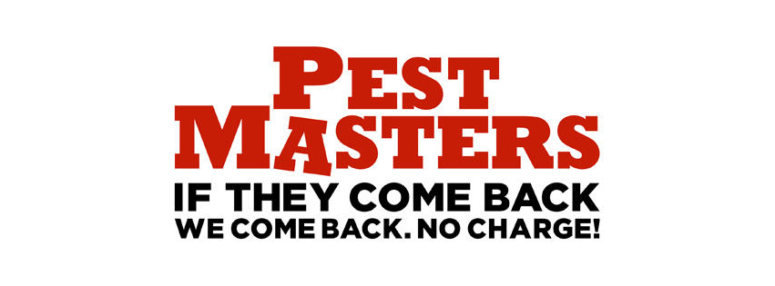 Pest Masters