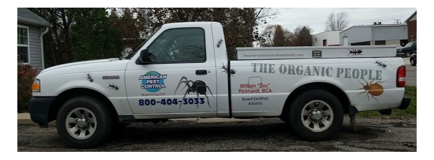 American Pest Control