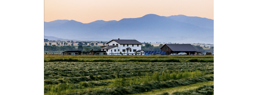 Amish Daily Farm